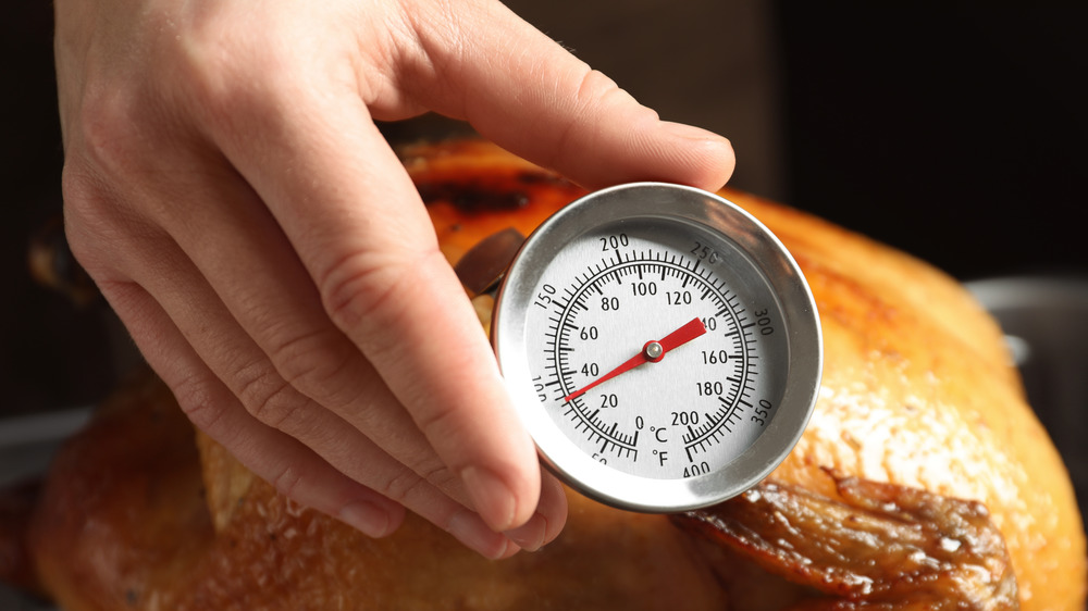 meat thermometer poultry