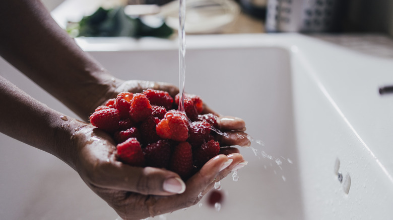 woman rinsing fruit 