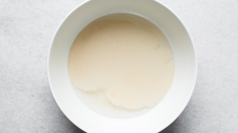 Yeast and water mixture in a bowl