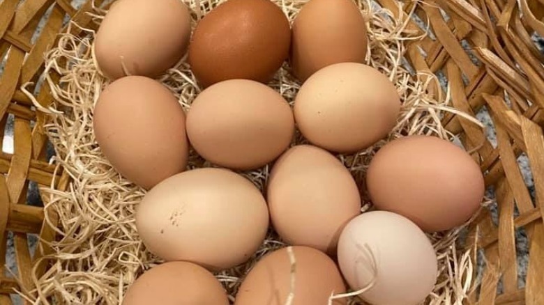 fresh eggs