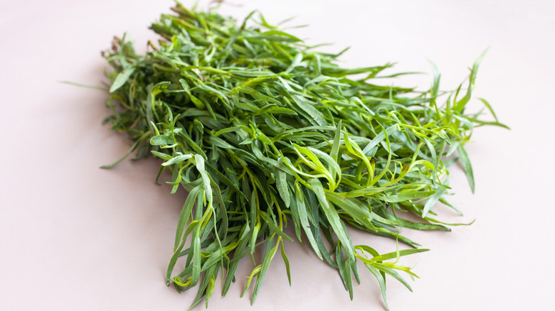 Bundle of tarragon