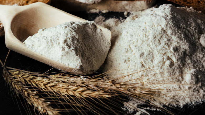 Freshly milled flour and wheat stalk