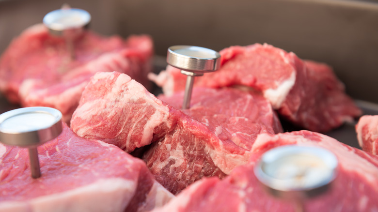 Beef cuts with meat thermometer