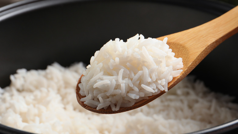 rice on wooden spoon over rice cooker