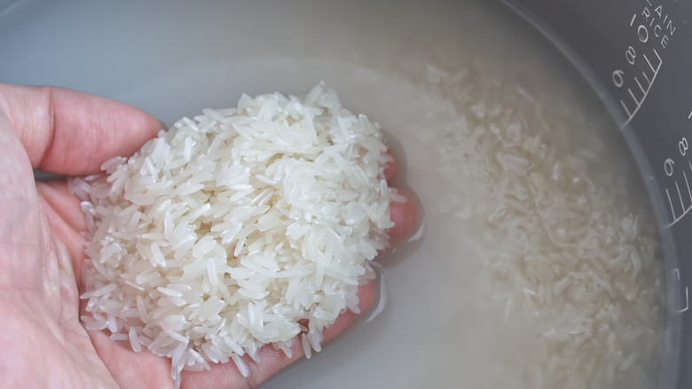 Hand rinsing rice