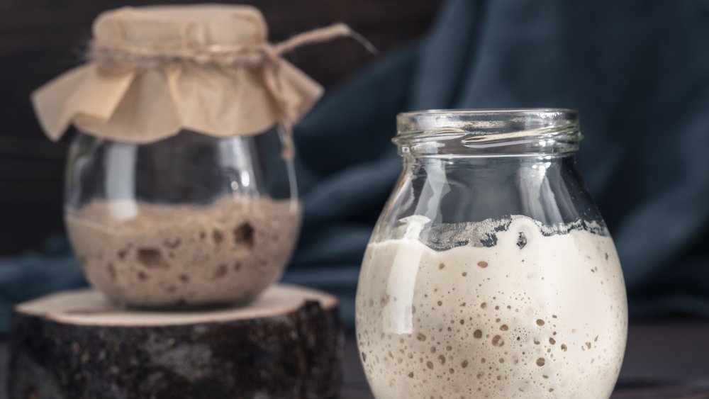 sourdough starter