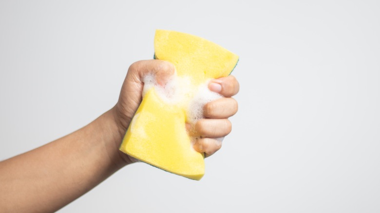 hand squeezing soapy sponge