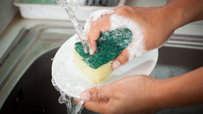 sponge washing plate