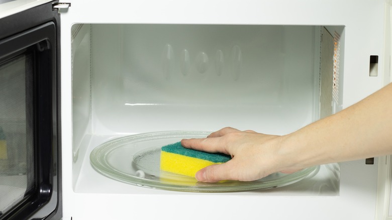 placing sponge in dishwasher