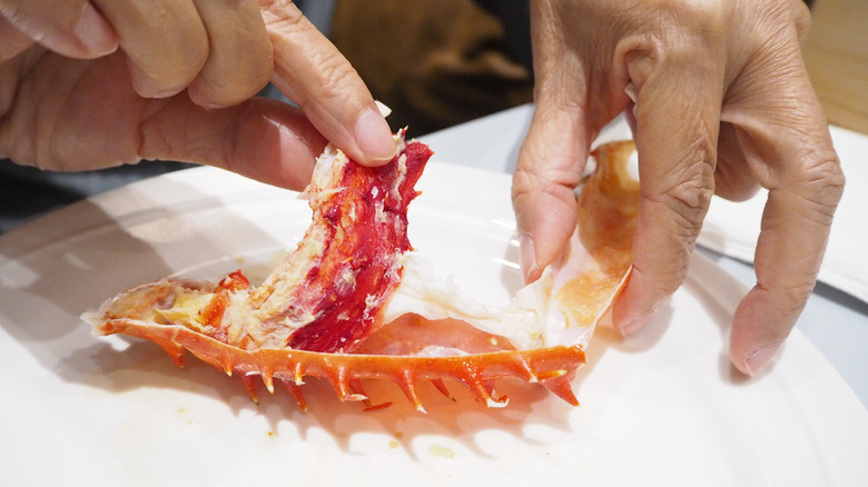 hand picking crab meat from shell