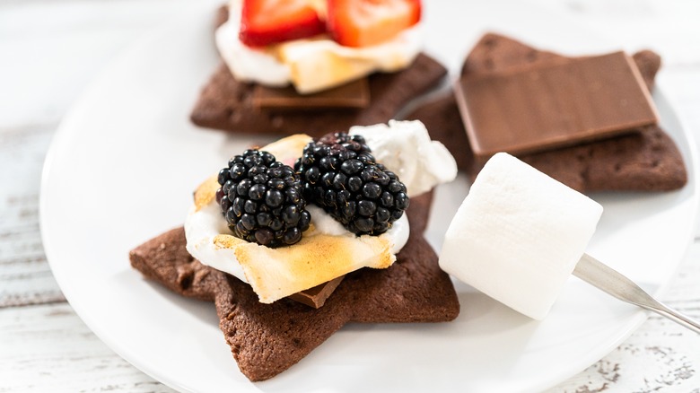 fruit on homemade s'mores