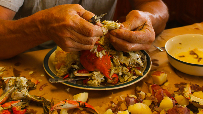 Crab with picker and potatoes 