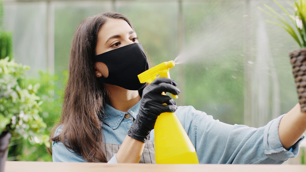 woman spraying fertilizer