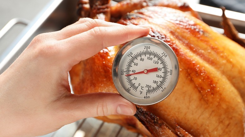 Turkey with meat thermometer