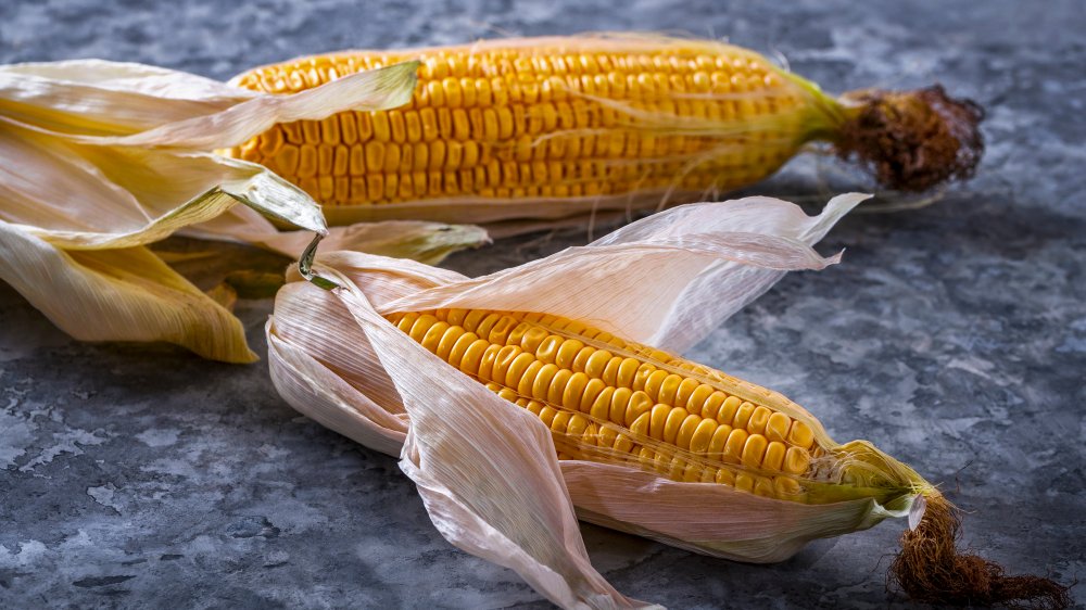 corn in husks 