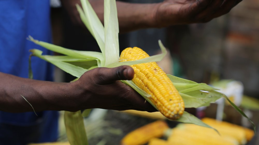 piece of corn on the cob 