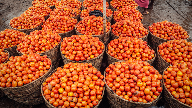 fresh tomatoes