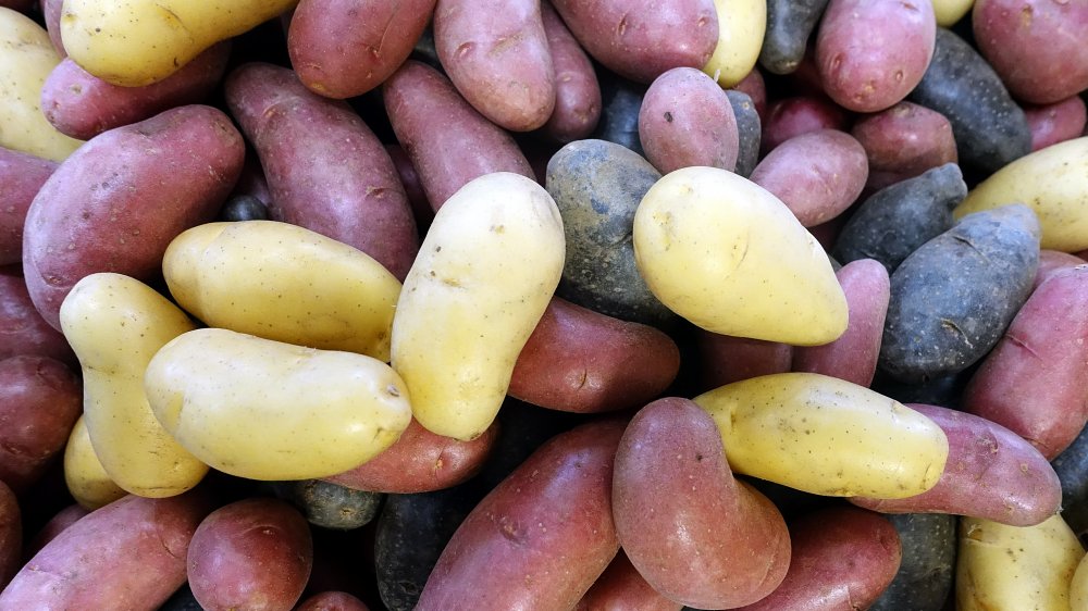 Fingerling potatoes for potato salad