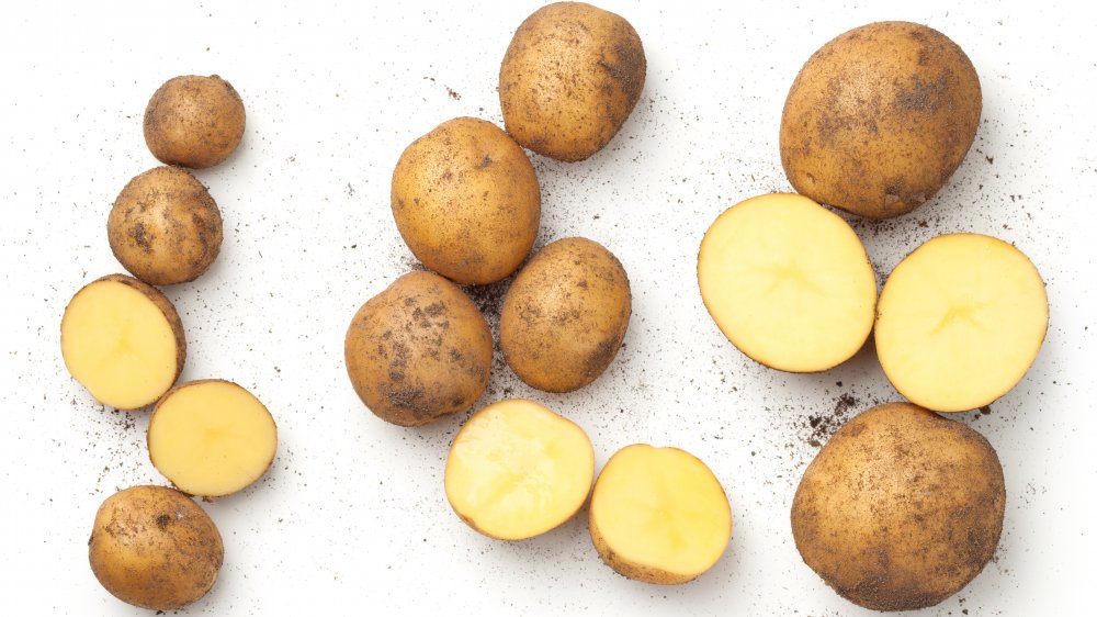 russet potatoes aren't good for potato salad