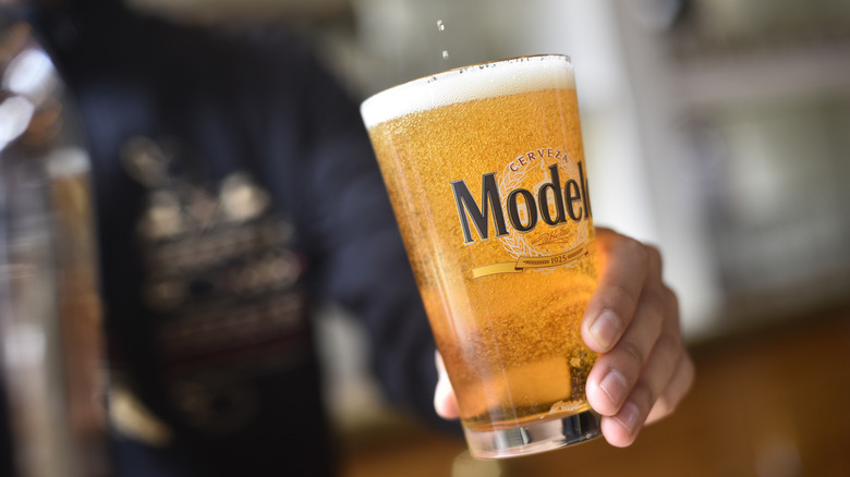 A person holding a Modelo beer