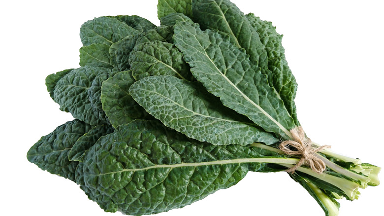 Kale leaves tied together with string on white background.