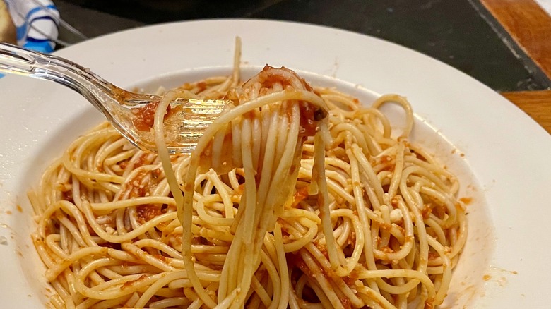 plate of spaghetti 