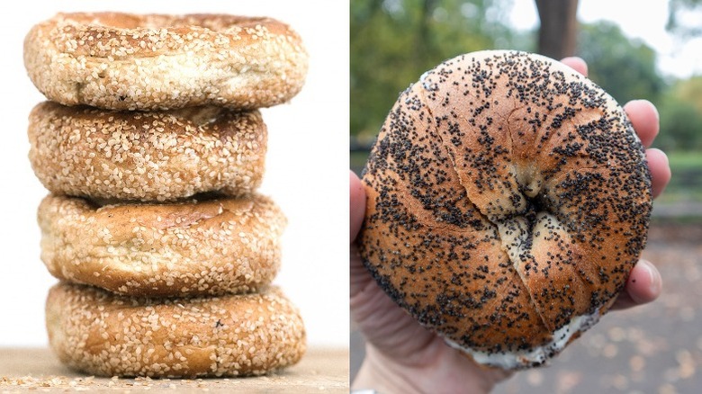 Montreal and New York bagels side by side