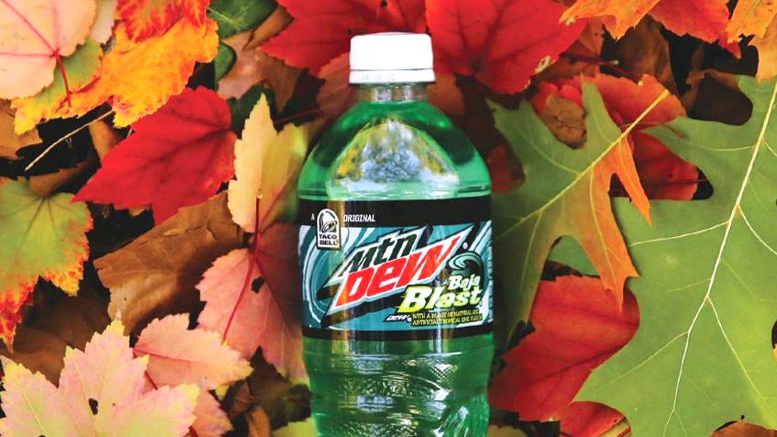 Mountain Dew Wants You To Dress As A Baja Blast This Halloween