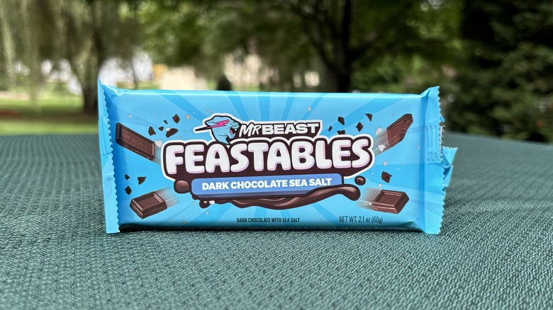 dark chocolate sea salt Feastables bar