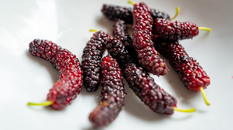 elongated mulberry fruits