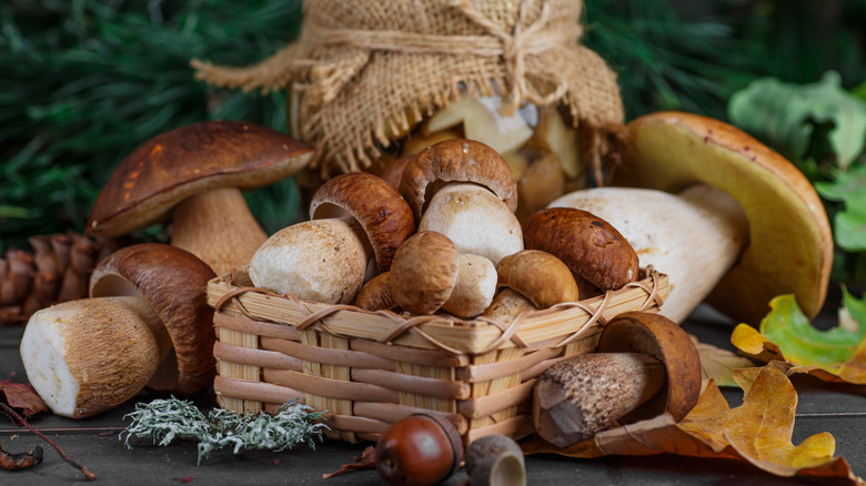 mushrooms in basket