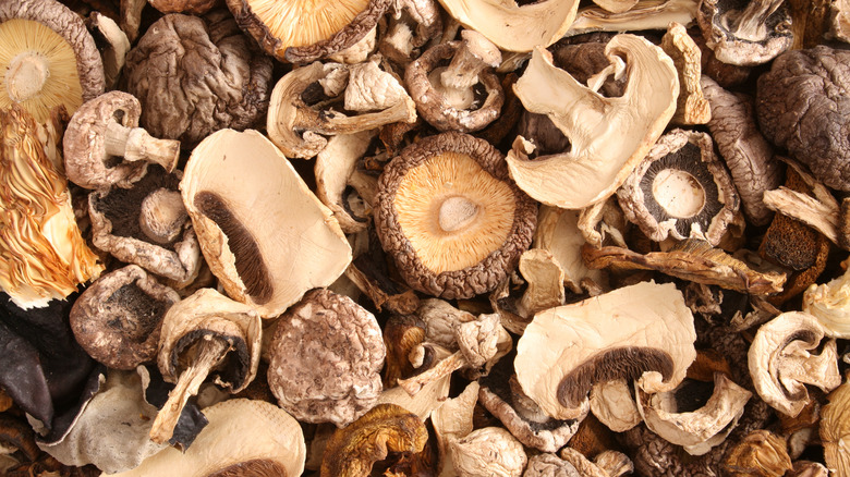 mushroom varieties