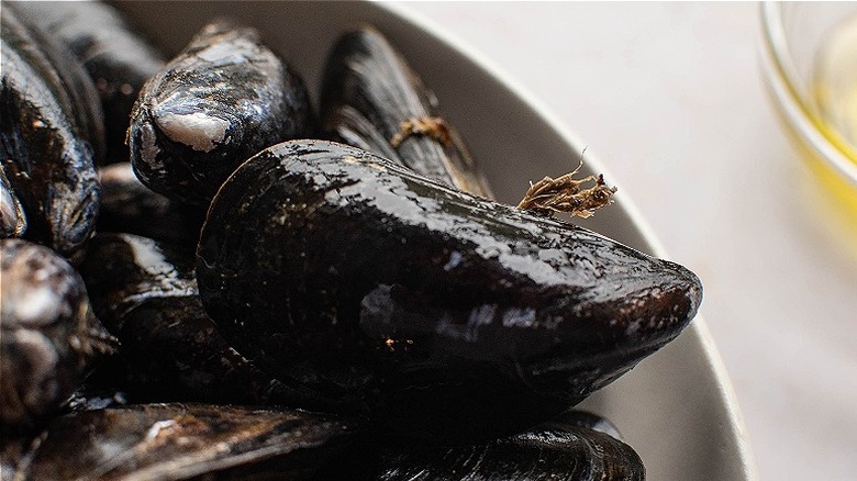 close up of mussel beard