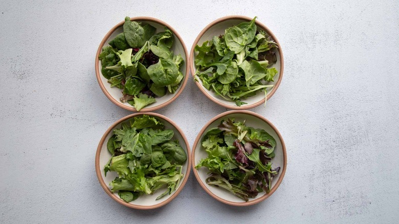 four bowls with green salad 