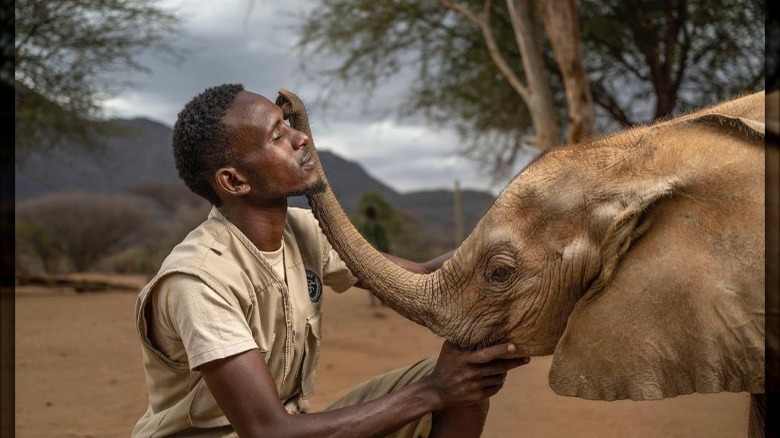 A man petting an elephant