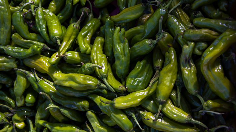 New Mexico Loves Green Chile So Much It Might Become The State's ...