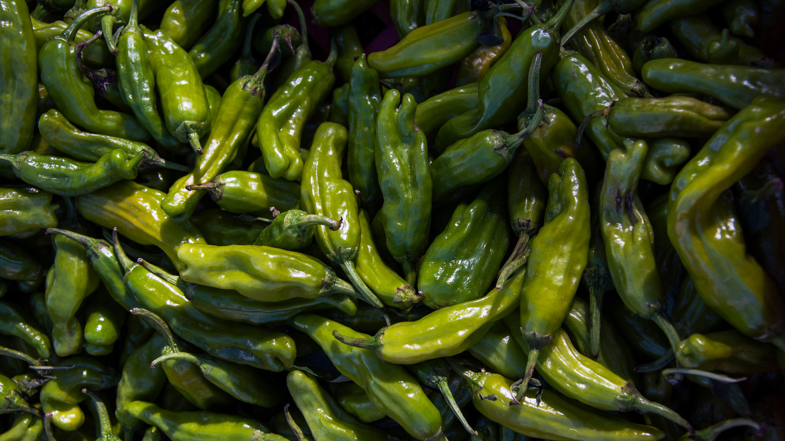 New Mexico Loves Green Chile So Much It Might Become The State's ...