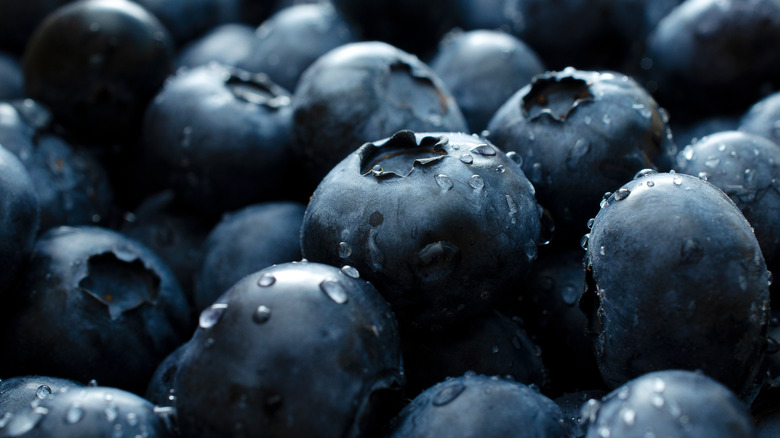 Closeup of blueberries