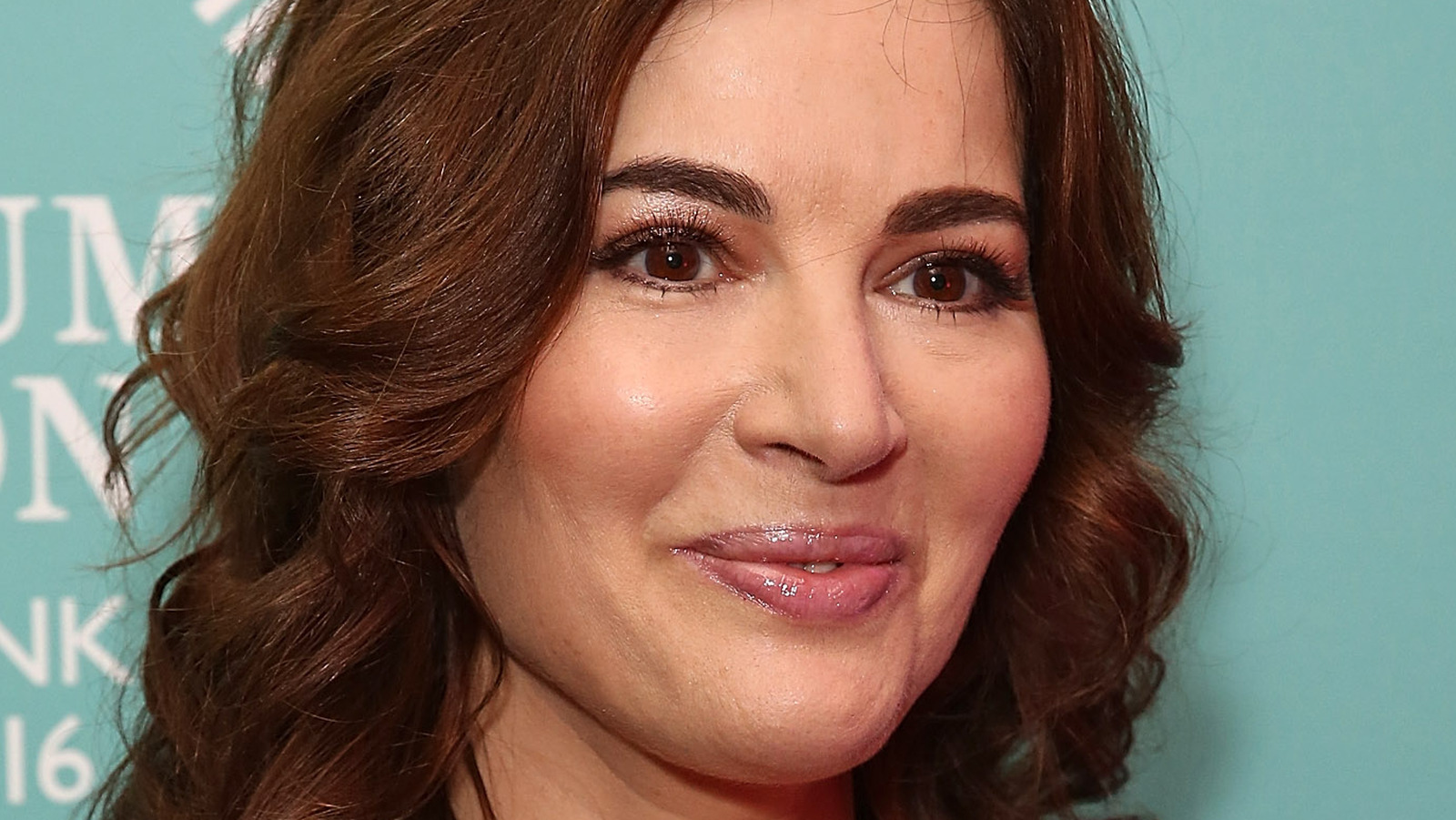 Nigella Lawson Fakes