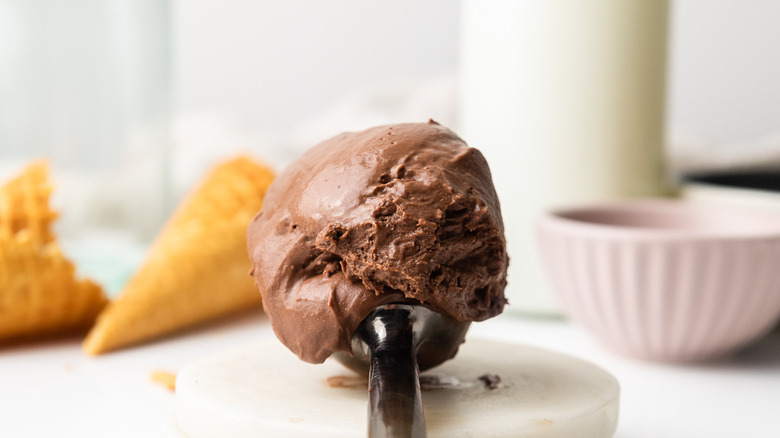 chocolate ice cream in scooper 