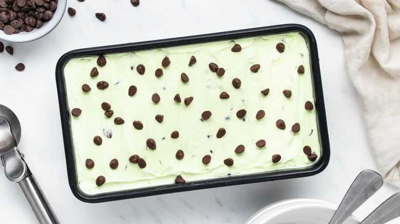 Mint chocolate chip ice cream in loaf pan