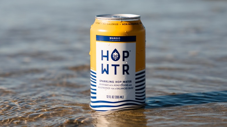 Hop Wtr can in water 