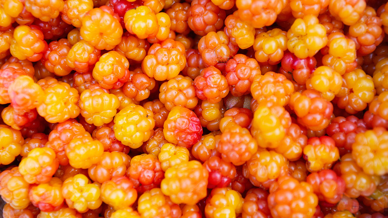 cloudberries