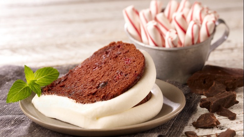 slice of peppermint chocolate cake