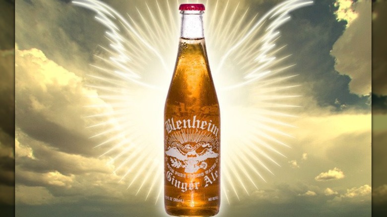 Bottle of Blenheim Ginger Ale