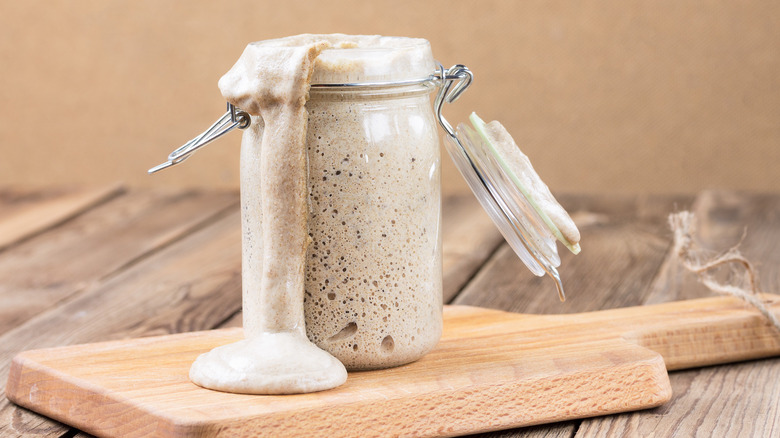 sourdough starter in jar