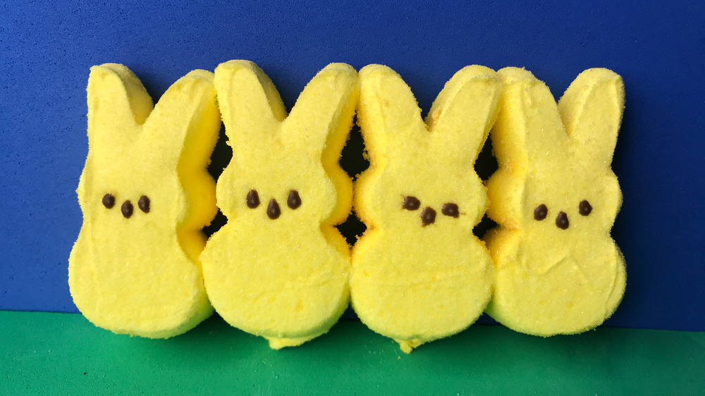 Yellow Peeps bunnies on blue background