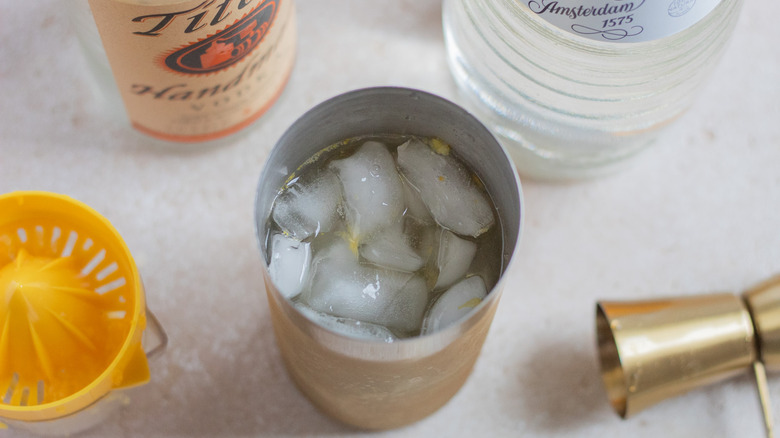 liquids in a cocktail shaker