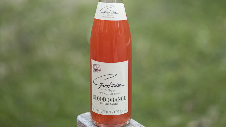 Gustare Vita Blood Orange Italian Soda