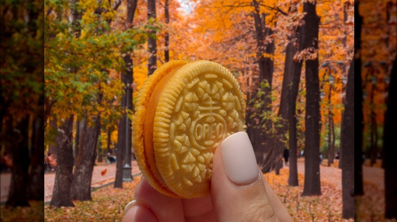 Pumpkin spice Oreo in front of fall foliage